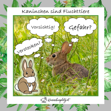 gefahr gefahr