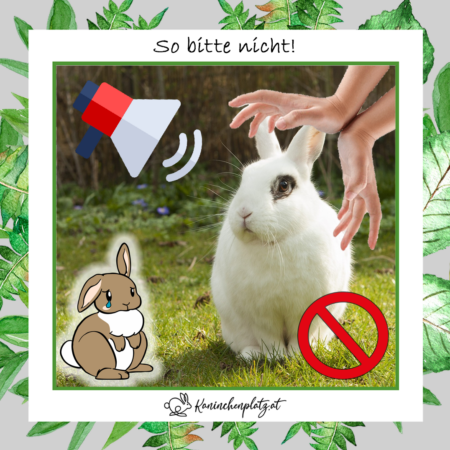 so bitte nicht so bitte nicht