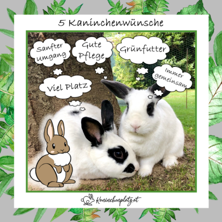 wünsche wünsche